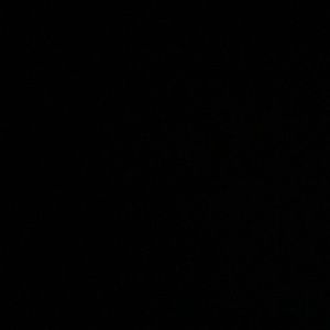 Meet your Posher, Aaliyah